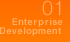 01 Enterprise Development